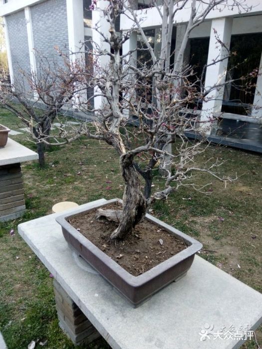 郑州植物园图片