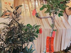 -永安水煮活鱼·仪征土菜院子
