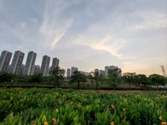 -那考河湿地公园