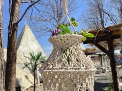 -安德鲁户外烧烤帐篷营地(马泉营店)