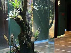 -泰悠谷养生SPA(世茂商业街店)