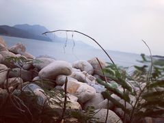 -南丫岛