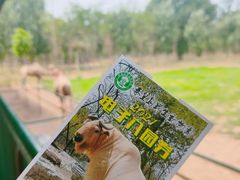 -秦皇岛野生动物园