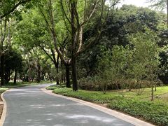 -荔香公园