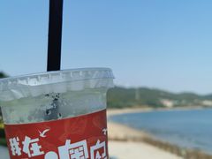 -南澳岛打卡果汁冰公司