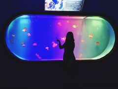 -左海海底世界