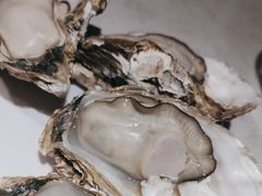 -杨氏青龙虾·羊蝎子(金盛路总店)