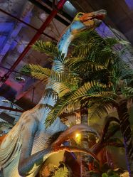 -恐龙探索乐园(磁器口店)