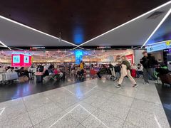 -谢列梅捷沃国际机场