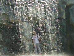 -铜川市金锁关石林