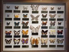 -上海昆虫博物馆