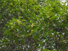 -白塘生态植物园