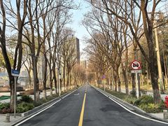 -后襄河公园