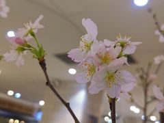 -1/4 ONE QUARTER COFFEE LAB(朝阳大悦城店)
