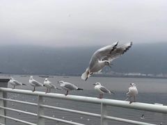 -昆明洲际酒店
