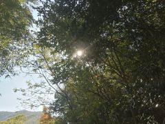 -天目湖御水温泉·度假酒店