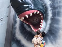 -海合安成都极地海洋公园