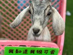 -开元商城(西旺店)
