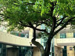 -香港珀丽酒店