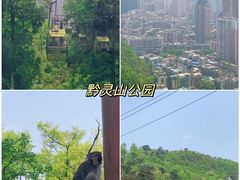 -黔灵山公园