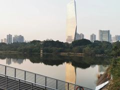-华侨城湿地公园