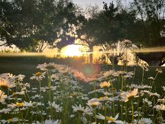 -汉长安城未央宫国家考古遗址公园
