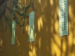 -西园戒幢律寺