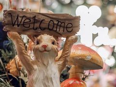 -上海雅居乐万豪侯爵酒店