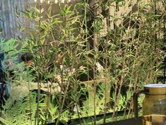 -茅庐毛血旺(临沂泰盛广场店)