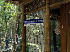 -兰亭风景区