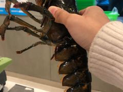 -盒马鲜生(财富中心店)