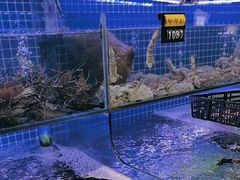 -温岭人家(红花北路店)