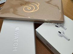 -Apple 零售店(Canton Road)