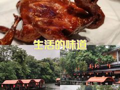 -侨美·唐荔园·40年地道粤菜