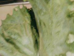-新石器烤肉(高行万嘉店)