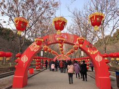 -洛阳市隋唐城遗址植物园