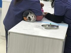 -福州肆爪动物医院
