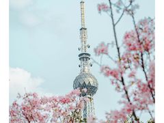 -文华公园(禅城区)