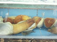 -龙溪海鲜酒家(溪涌店)