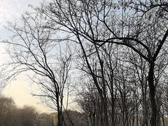 -东坝千亩湖公园