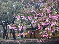 -西园戒幢律寺