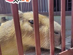 -鄂尔多斯野生动物园