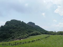 -白草畔自然风景区