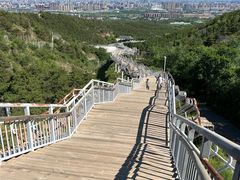 -大青山野生动物园