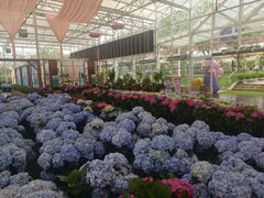 -盈香心动乐园