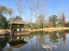 -溱湖国家湿地公园