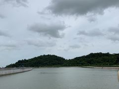 -野狸岛