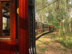 -合肥滨湖国家森林公园