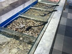 -火锅岛潮牌自助餐厅(天津天佑城店)