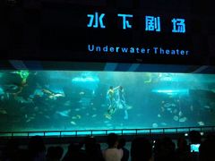 人鱼表演-泉城欧乐堡海洋极地世界